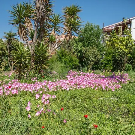 Apartament Christi's